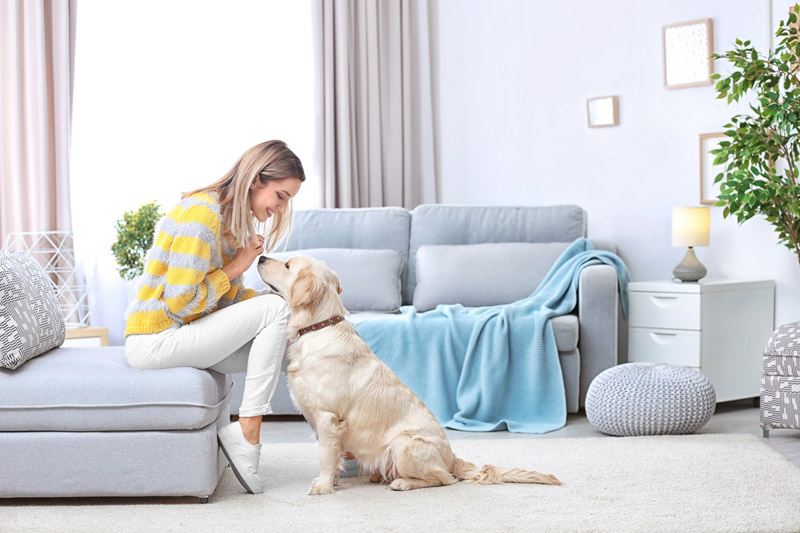Woman sitting on couch with dog sitting in front of her